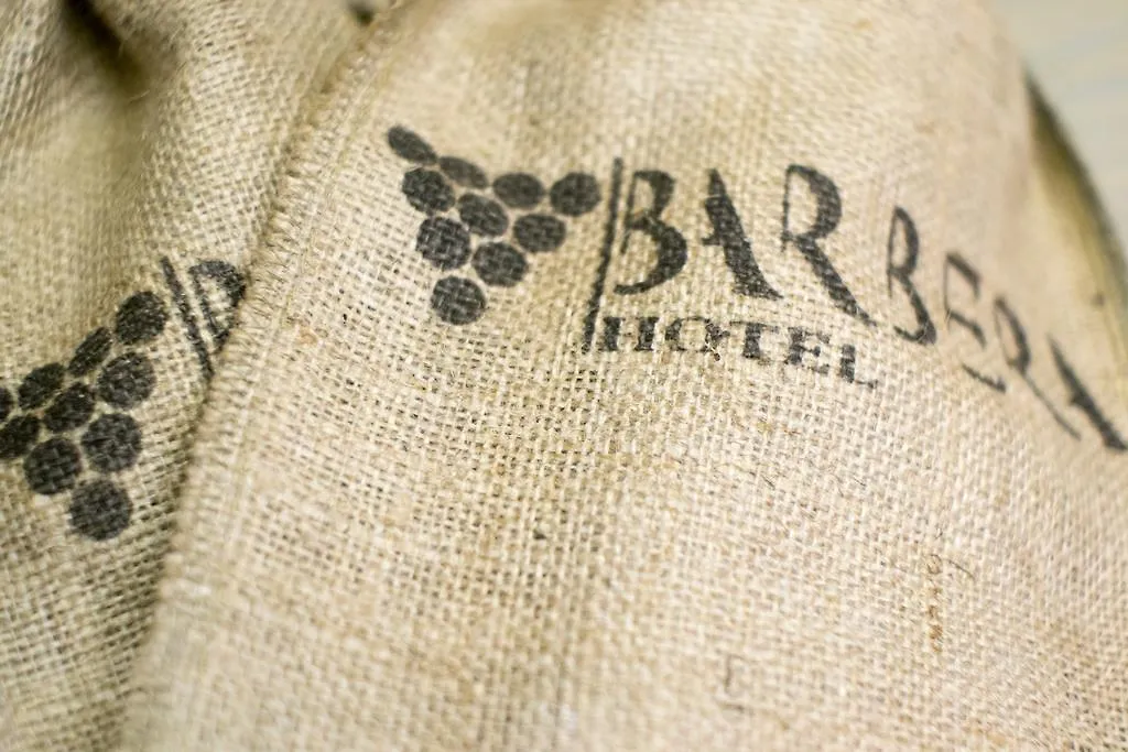 איסטמבול Barbera Hotel